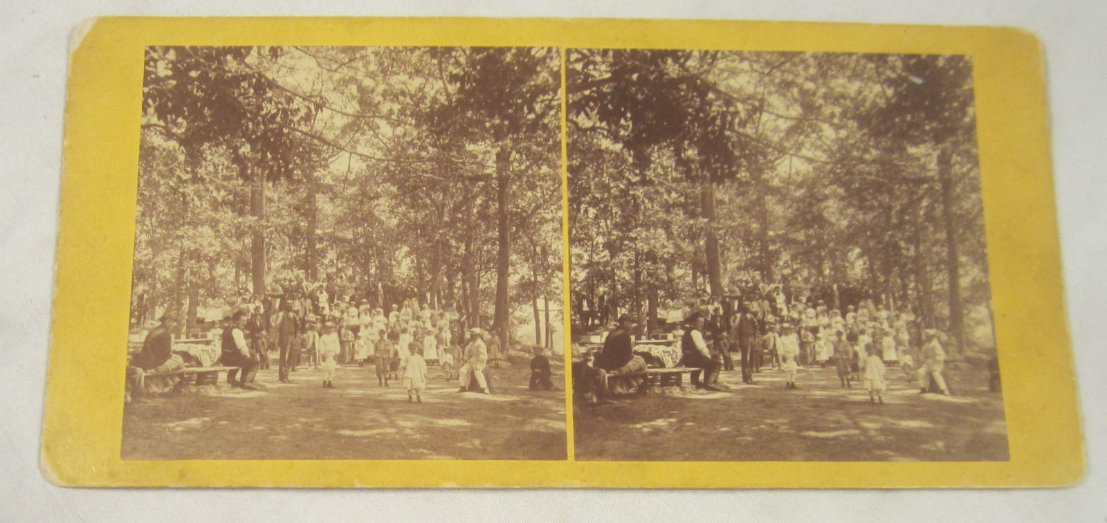 D.A. HENRY STEREOVIEW -- Peace or Centennial Celebration -- BRATTLEBORO, VERMONT