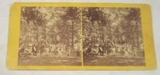 D.A. HENRY STEREOVIEW -- Peace or Centennial Celebration -- BRATTLEBORO, VERMONT picture