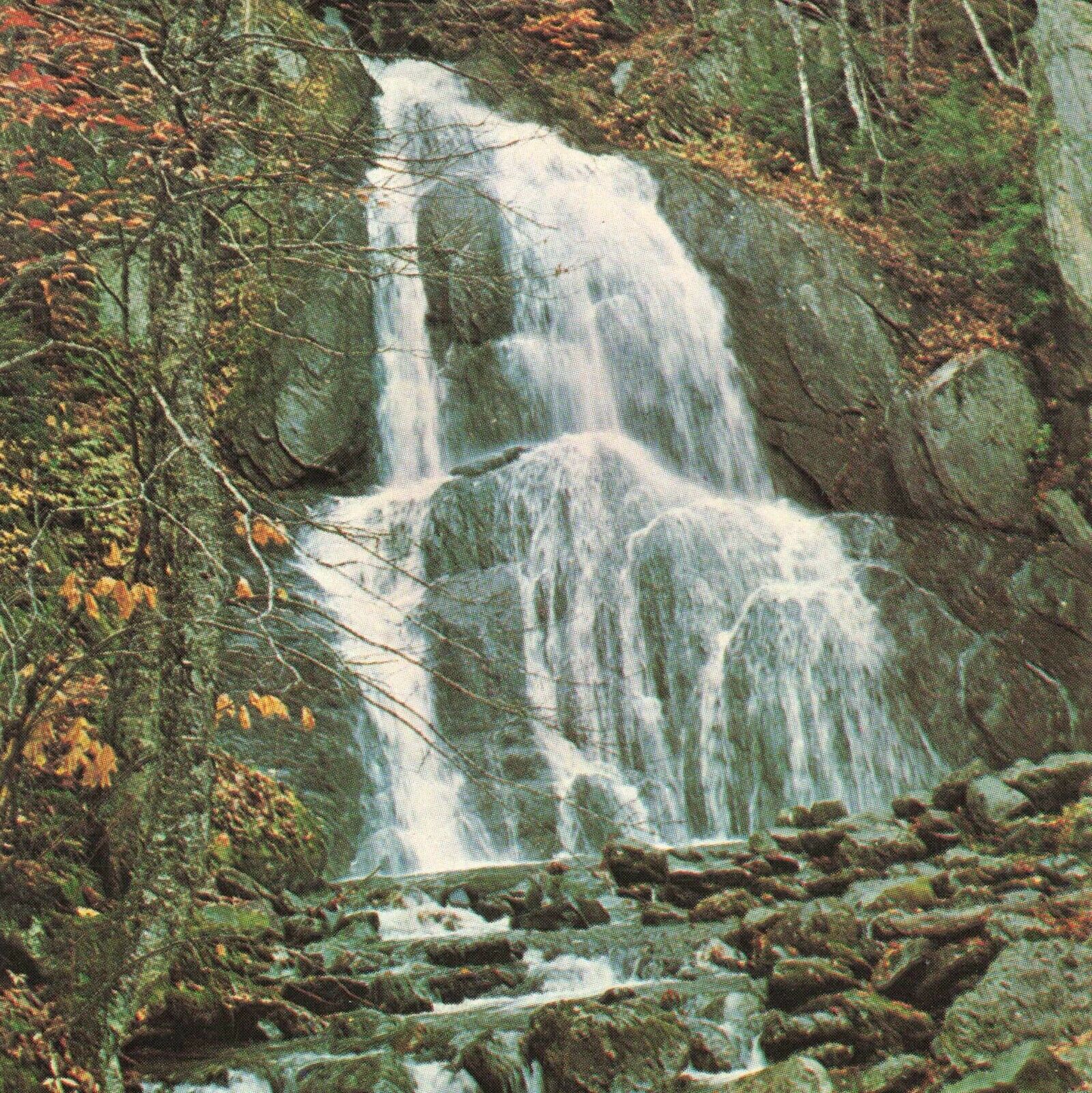 Granville Gulf Reservation State Forest Vermont VT Waterfall Ephemera Postcard