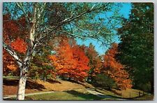 Rt 140 Tinmouth Vermont Poultney Wallingford Rutland County Wob 1973 Postcard picture
