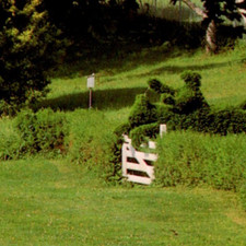 * VTG Postcard MD Ladew Topiary Gardens Monkton Topographical Collector Souvenir picture