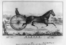 Ripton,Horse Racing,Harness Racing,Centreville Course,Long Island,c1850 picture