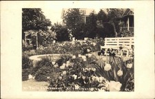 Ferrisburgh VT Vermont Mt Philo Inn Gardens Real Photo Vintage Postcard picture