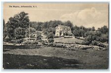 1910 The Maples Exterior Building Jeffersonville New York  NY Vintage Postcard picture