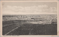 Birds Eye View Ryegate Montana MT Grain Elevators Farming Bloom 1910s Postcard picture