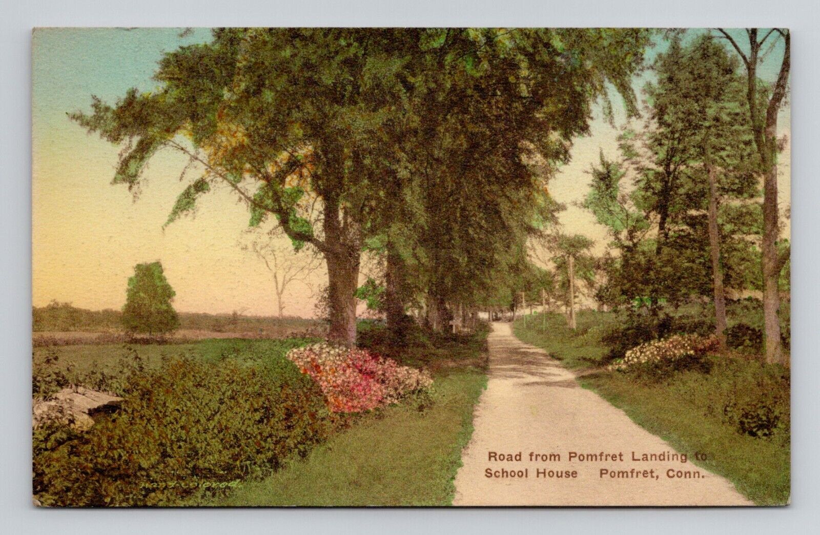 Postcard Road to Schoolhouse Pomfret Connecticut CT, Vintage Hand Colored B3