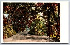 Brattleboro Vermont~West River Road~1905 Detroit Publishing Postcard picture