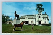 Weybridge VT-Vermont, University Of Vermont, Morgan Horse Vintage c1962 Postcard picture