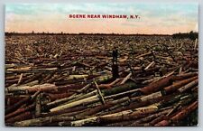 Vintage Logging Windham New York Postcard E1 picture