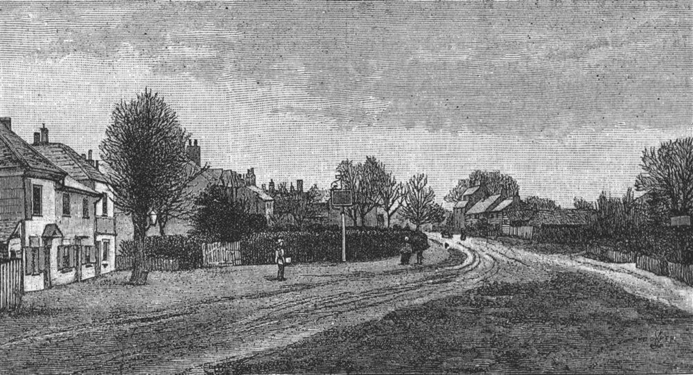 HIGH BARNET. Hadley Green (Site of the Battle of Barnet) 1888 old print