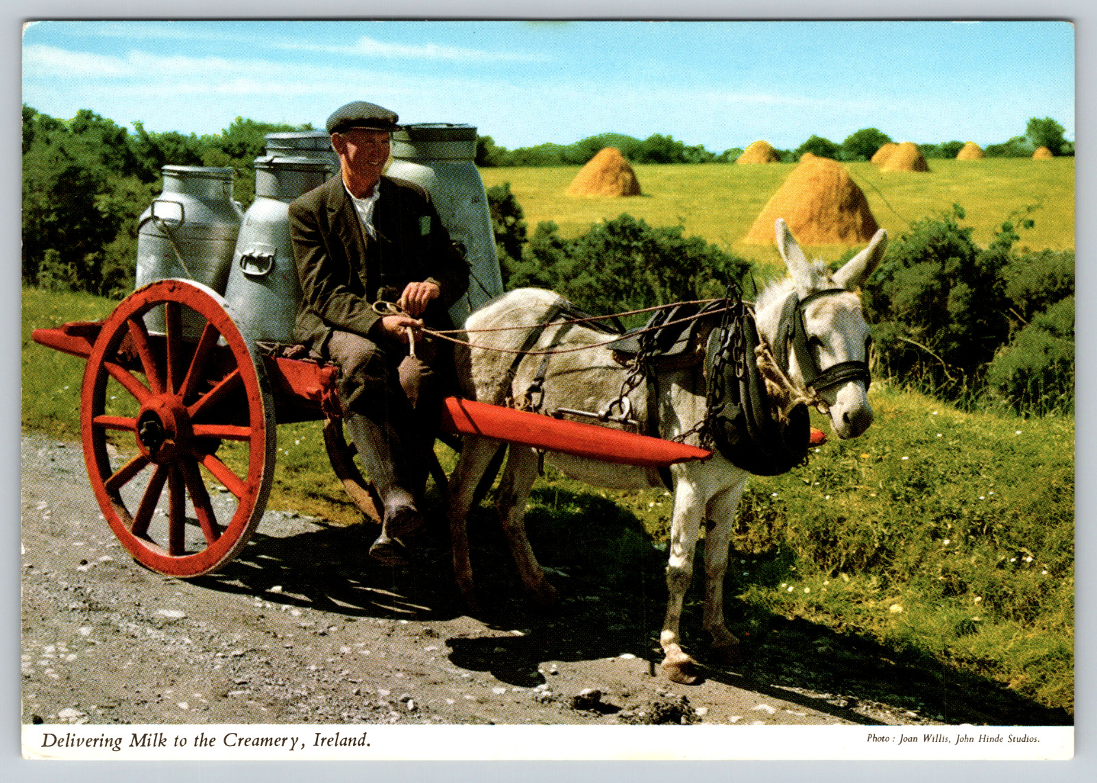 Delivering Milk To Creamery Carriage Ireland Vintage Postcard Continentental