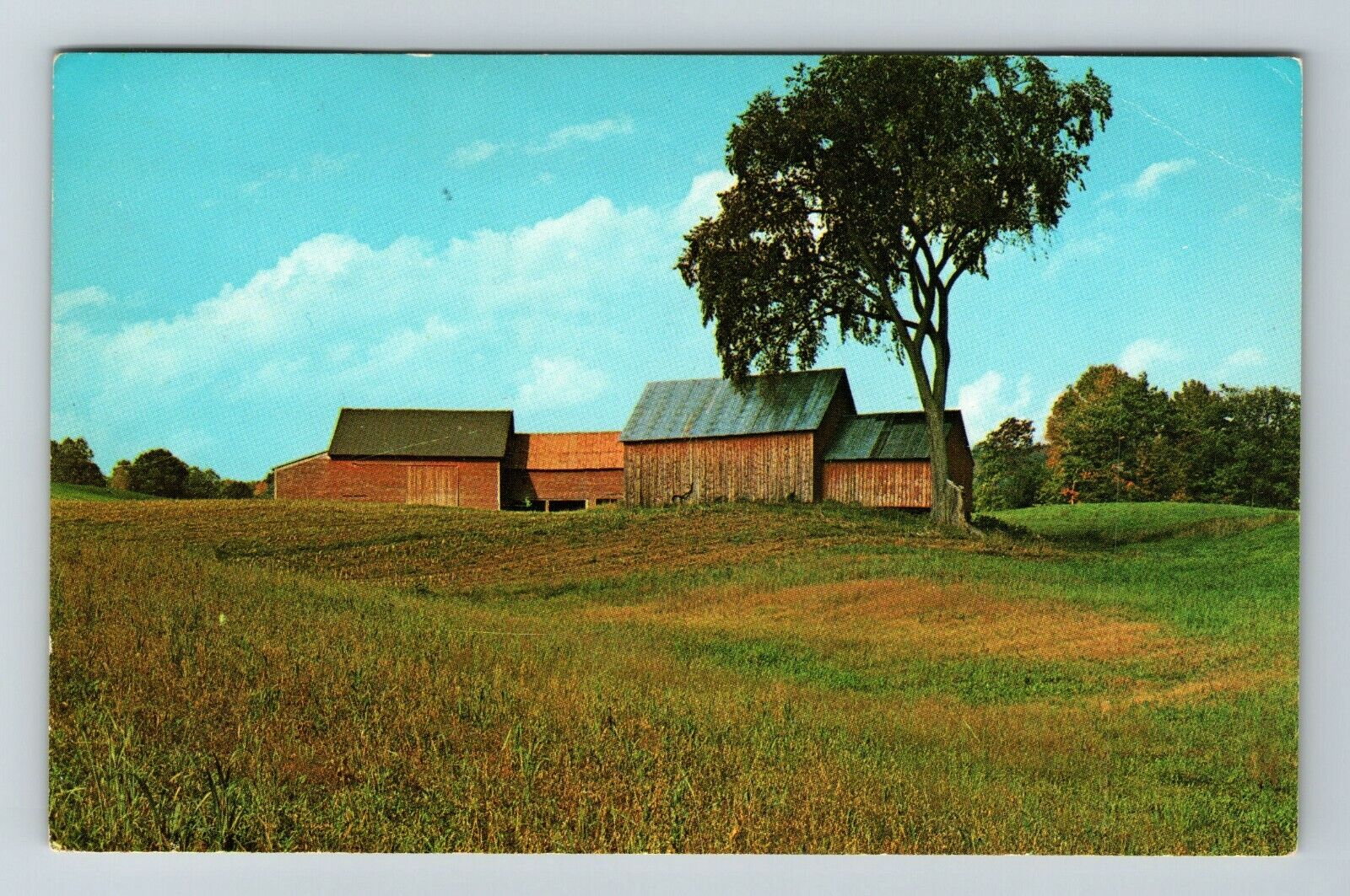 Quechee VT-Vermont, Red Barns  Vintage Souvenir Postcard