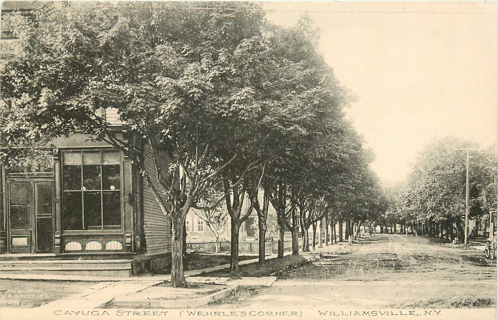 New York, NY, Williamsville, Cayuga Street 1910\'s Albertype Co Postcard