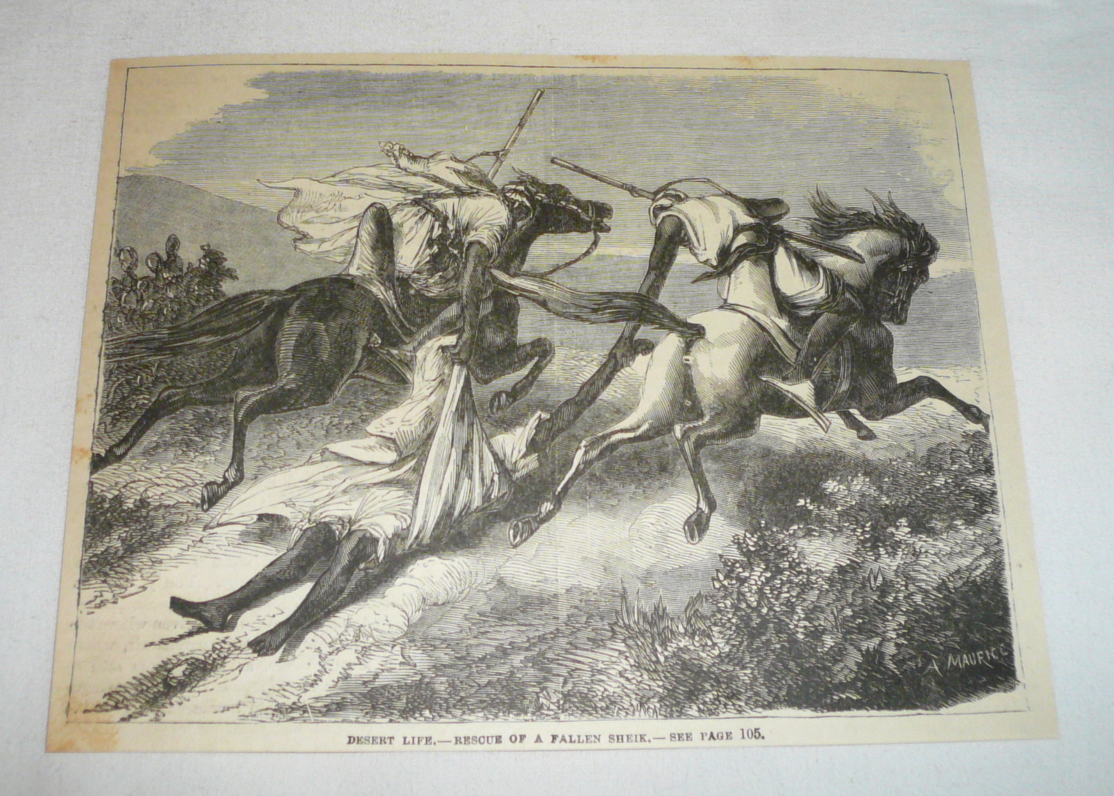 1879 magazine engraving ~ DESERT LIFE, RESCUE OF A FALLEN SHEIK 1879 magazine engraving ~ DESERT LIFE, RESCUE OF A FALLEN SHEIK