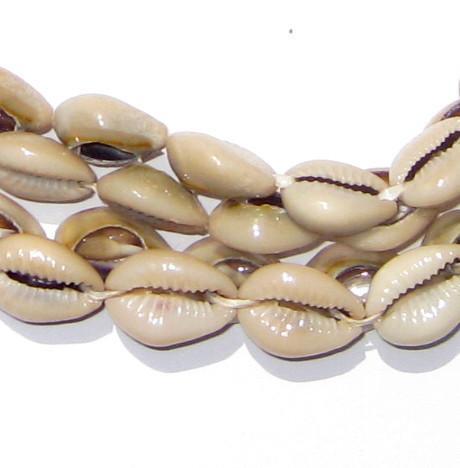 Kenyan Cowrie Shell Beads 15mm West Africa African White Unusual Handmade