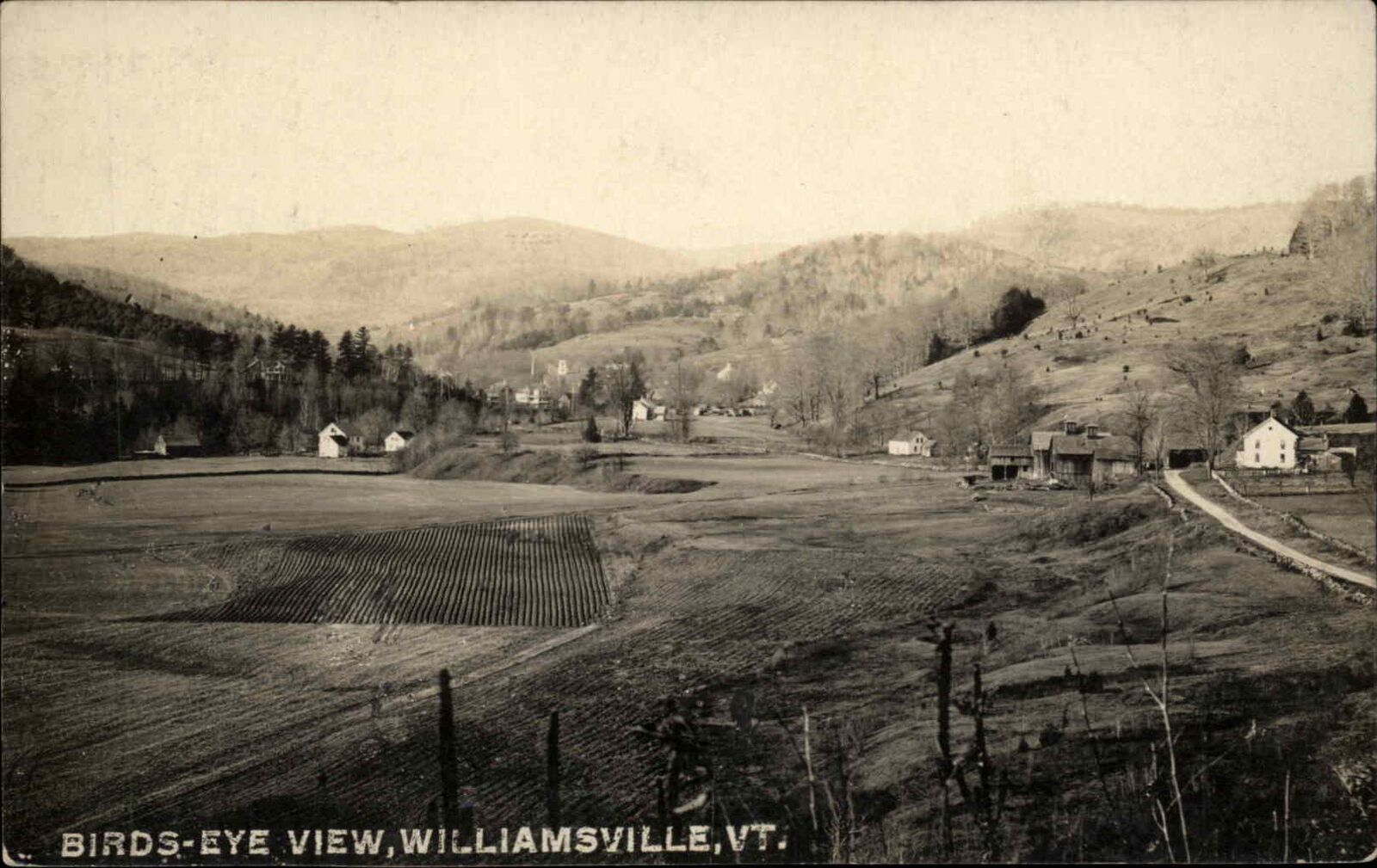 Williamsville VT Birdseye View c1910 Real Photo Postcard