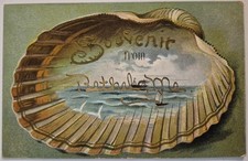 Vintage Postcard Souvenir From Bethel Maine Embossed Seashell AA153 picture