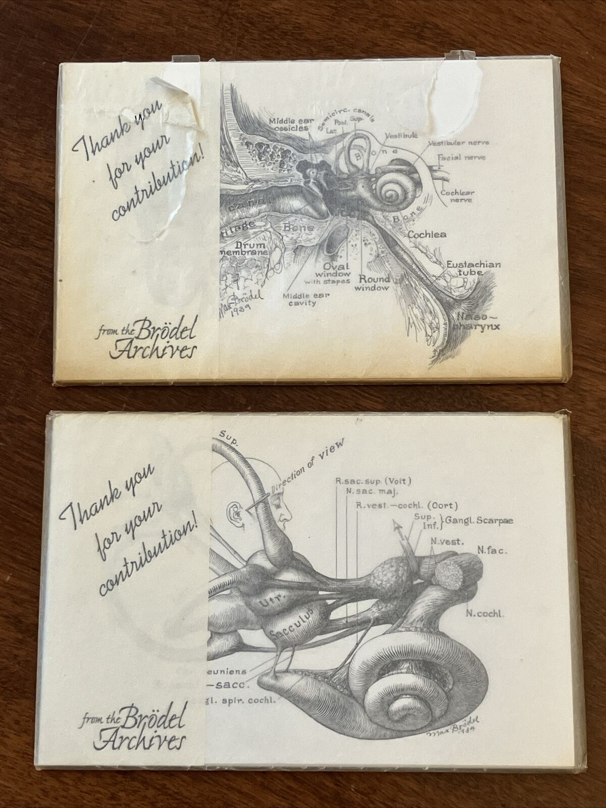 Max Brödel - Johns Hopkins Univ. - Postcard Sets - New - Arts Applied Medicine