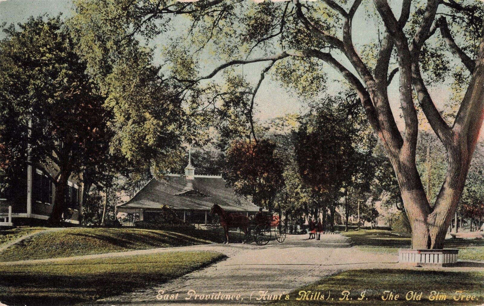 East Providence Hunt's Hills RI The Old Elm Tree c.1908 Postcard A577