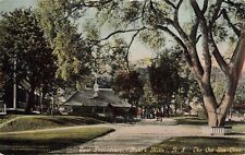 East Providence Hunt's Hills RI The Old Elm Tree c.1908 Postcard A577 picture