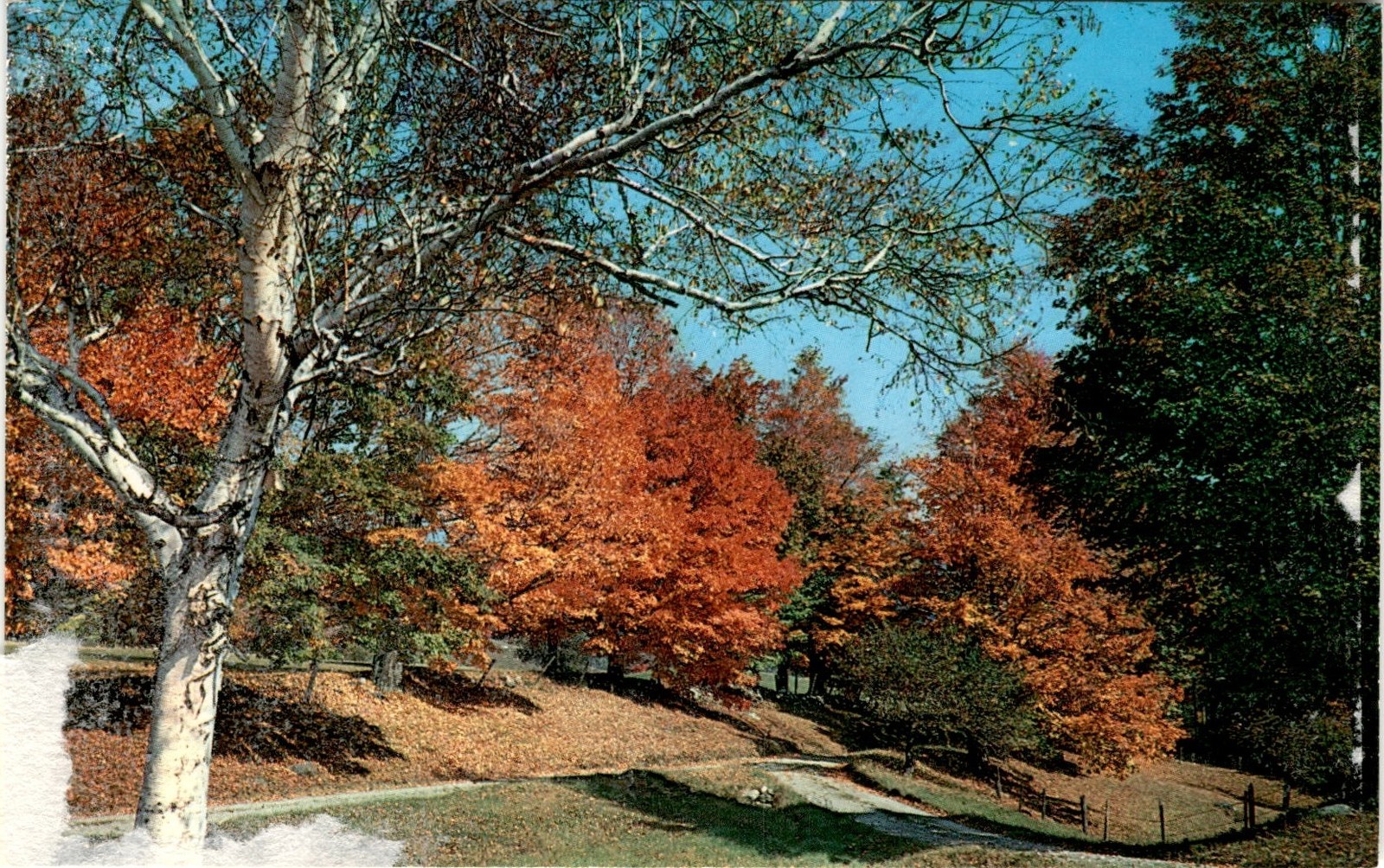 Tinmouth, Vermont, Poultney, Wallingford, Rutland County, Warren E Postcard Tinmouth, Vermont, Poultney, Wallingford, Rutland County, Warren E Postcard