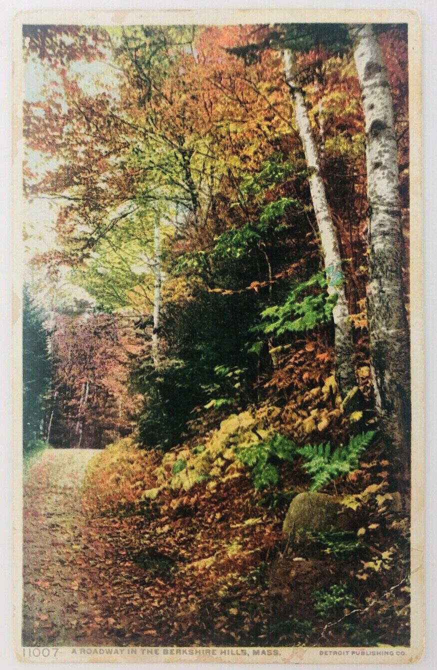 Vintage Berkshire Hills Massachusetts MA A Roadway in Berkshire Hills 1911