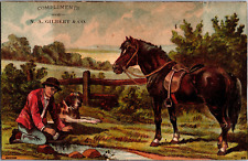 AN-402 VT Enosburgh Falls Scotch Oil Man Horse Dog Quack Victorian Trade Card picture