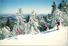 Brattleboro Vermont Mountain Snow Winter Landscape Chrome Postcard  picture