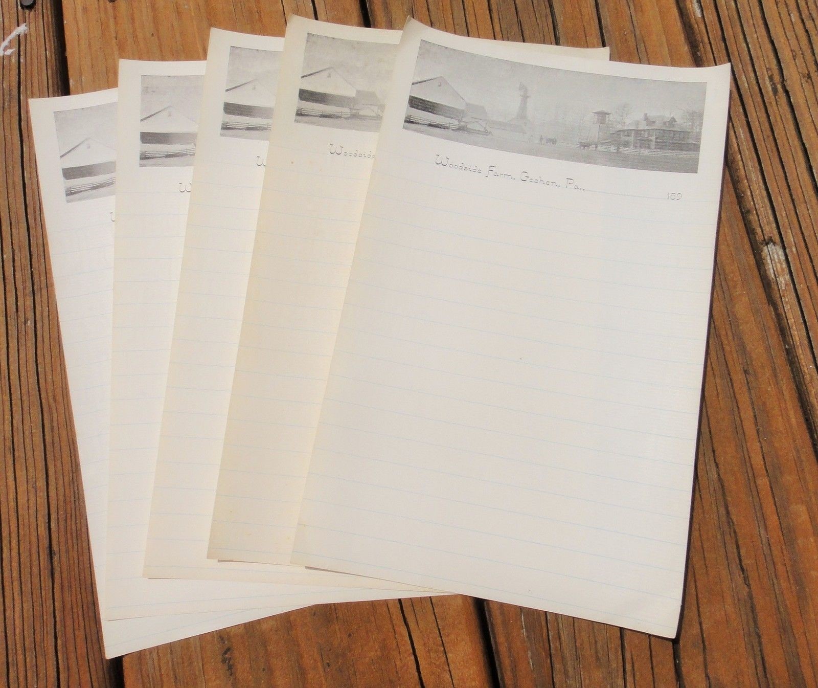 LOT vintage 5pc UNUSED WOODSIDE FARM goshen pa PHOTO LETTERHEAD stationery LOT vintage 5pc UNUSED WOODSIDE FARM goshen pa PHOTO LETTERHEAD stationery
