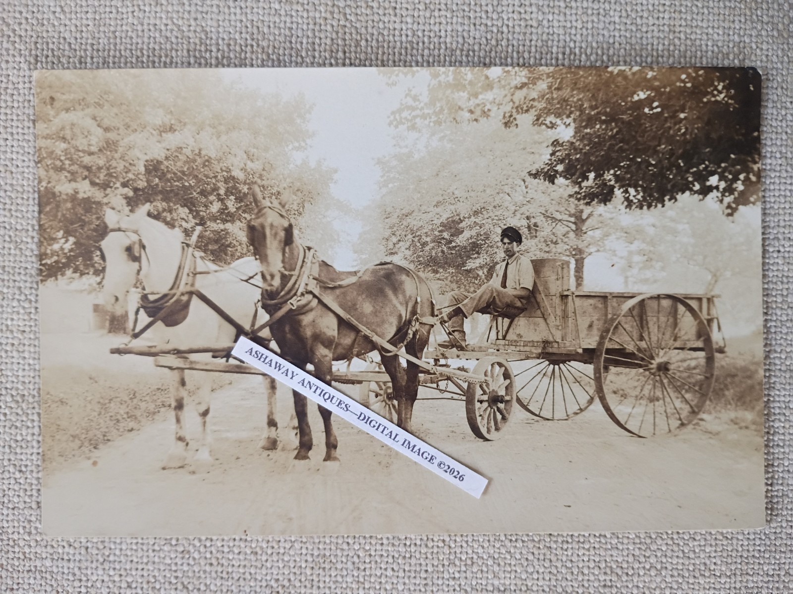 1920s RPPC of GUS MARCIA with DUMP WAGON at MOUNTAIN FARMS in WEST HARTFORD CT 1920s RPPC of GUS MARCIA with DUMP WAGON at MOUNTAIN FARMS in WEST HARTFORD CT