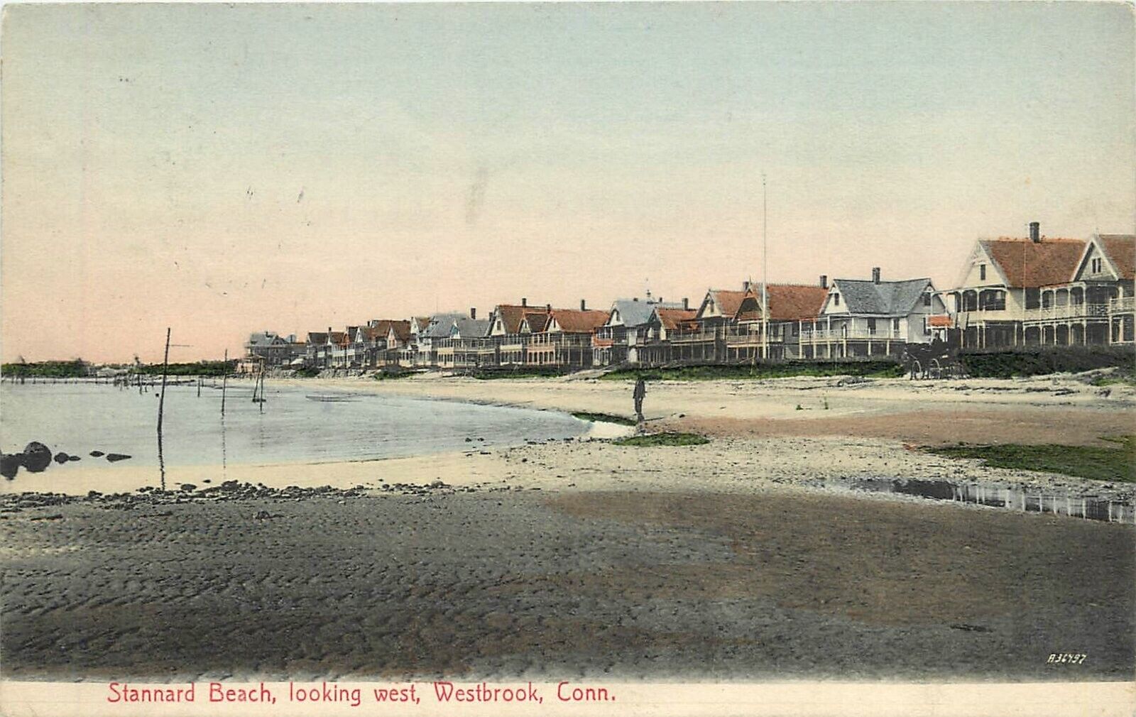 Postcard 1909 Connecticut Stannard Beach looking west Neidlinger 23-13632