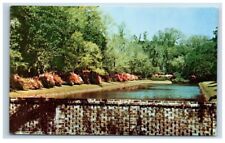 Charleston S.C. Middleton Gardens Reflection Pool Vintage Postcard Unposted picture