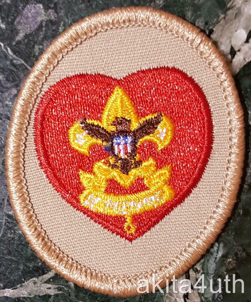 Boy Scout - Life Rank Badge - Tan Oval - Current Issue - BSA