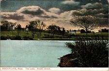 Brookline Massachusetts The Lake. Muddy Brook Vintage Postcard  picture