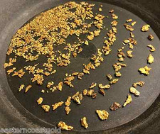 8 Oz. Rich Gold Paydirt - Concentrates Paydirt Nuggets Flakes Panning Pay Dirt picture