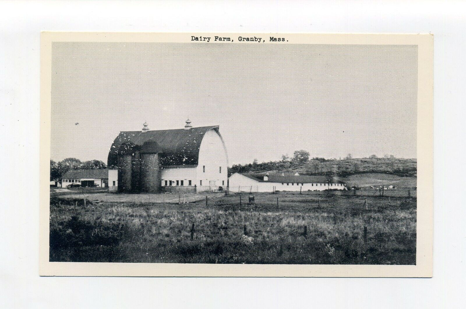 Granby MA Mass vintage postcard, Dairy Farm, silos, 1950's