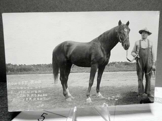 1910 RPPC Photo Postcard Honest Rob Owned By E Hannon Starksboro Vermont VT