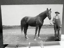 1910 RPPC Photo Postcard Honest Rob Owned By E Hannon Starksboro Vermont VT picture