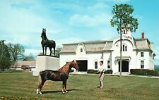 Vintage Postcard University of Vermont Morgan Horse Farm Weybridge Vermont VT picture