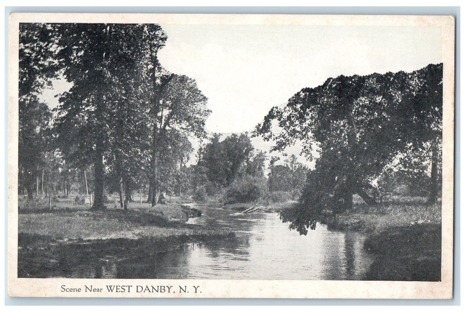 c1910's Lake Tree Nature Scene Near West Danby New York NY Antique Postcard