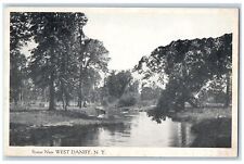 c1910's Lake Tree Nature Scene Near West Danby New York NY Antique Postcard picture
