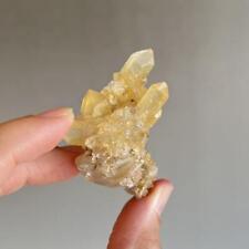 Golden Healer Lemurian Cluster From Corinth 21 picture