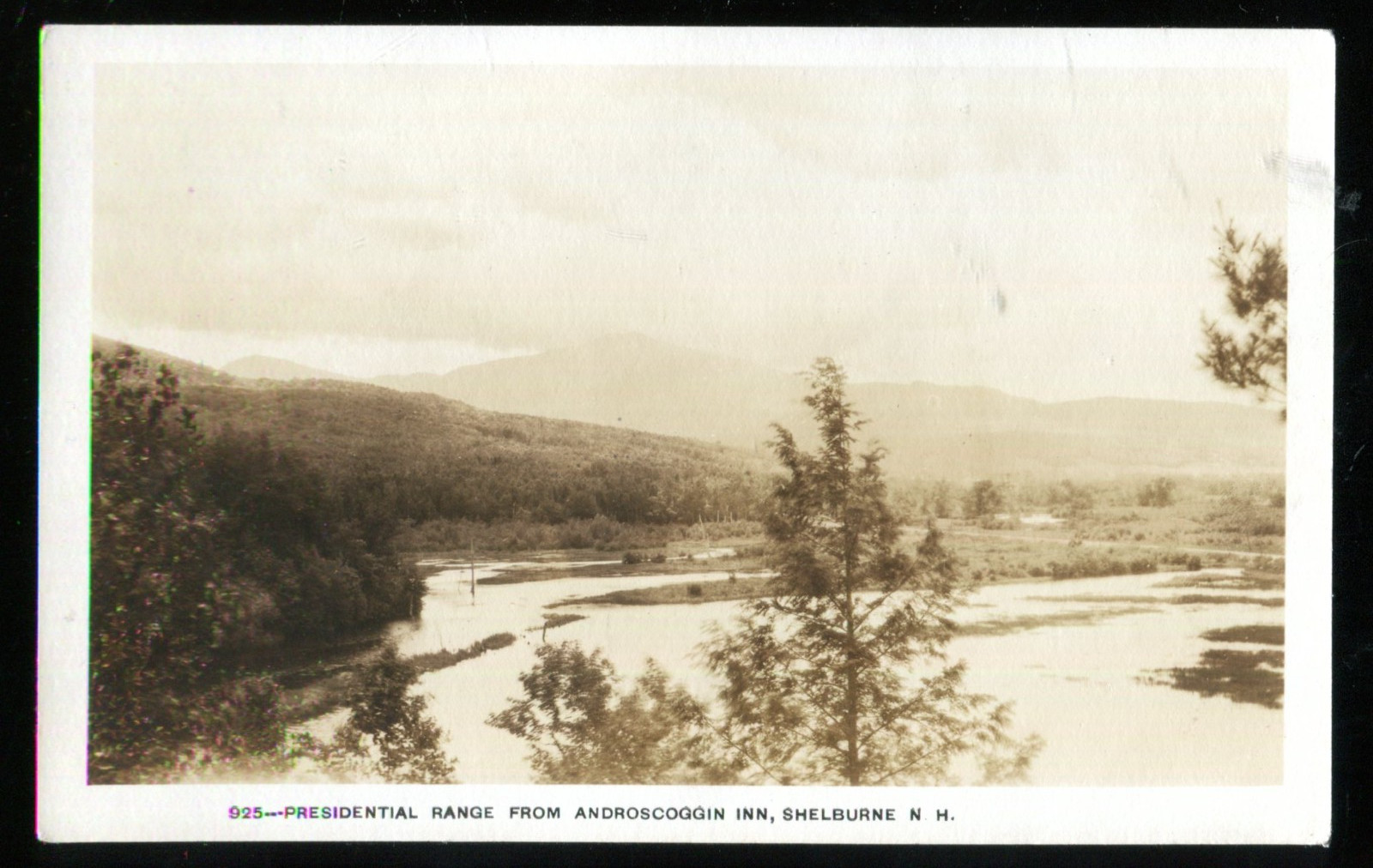 Shelburne NH RPPC Presidential Range From Androscoggin Inn Real Photo PC