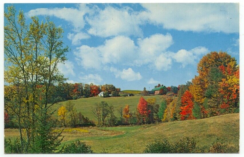 Topsham VT Autumn Scene Postcard Vermont