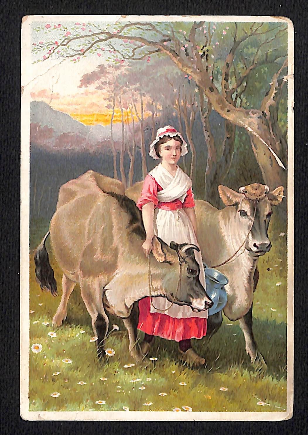 Dr. Jaynes Harvey Gregory Mann's Choice, PA Victorian Trade Card - Scarce (#1) Dr. Jaynes Harvey Gregory Mann's Choice, PA Victorian Trade Card - Scarce (#1)