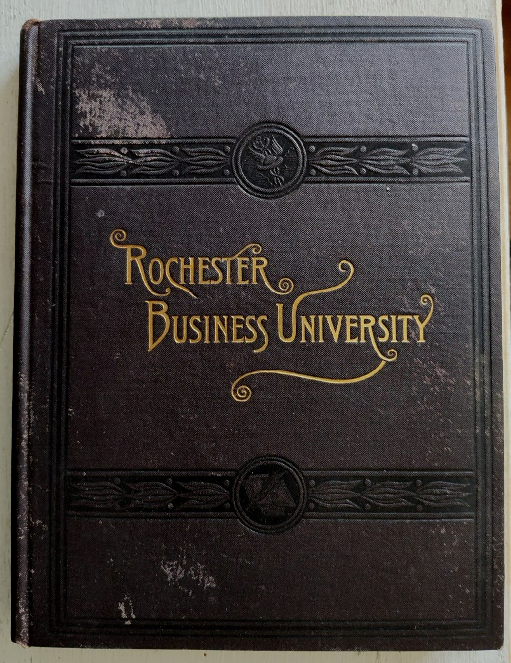 1894 - 1895 Williams & Rogers Rochester NY Business University Catalogue Photos