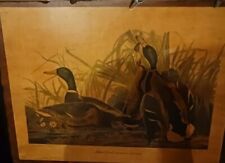 Vintage Mallard Duck NO. 45 PLATE CCXXI  Painting By JOHN J AUDUBON & HAVELL picture