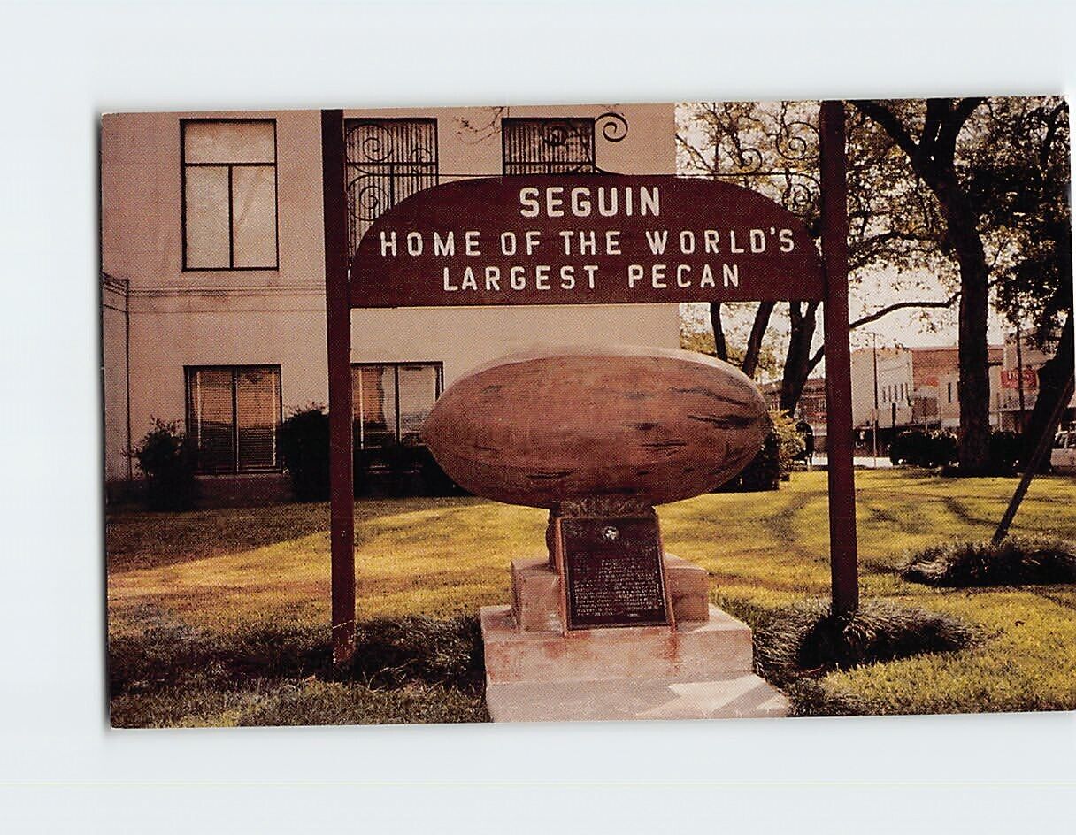 Postcard Home of the Worlds Largest Pecan Seguin Texas USA