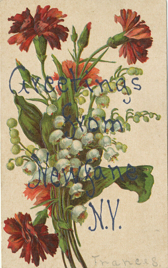 Newfane NY * Greetings  Embossed Flowers ca. 1908 * Niagara Co.