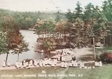 AVERILL PARK NY Crystal Lake Perch Rock 1907 D/B PC Mailed To Insane Asylum picture